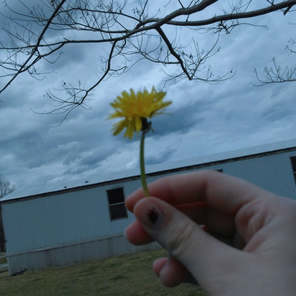 Meet your Posher, Amya - Picture 1 of 1